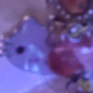 Meet your Posher, Nia